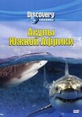 Discovery: Акулы Южной Африки (2001)