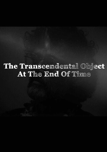 Трансцендентальный объект в конце времён (2014)